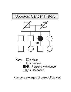 Genetic chart showing sporadic cancer history.
